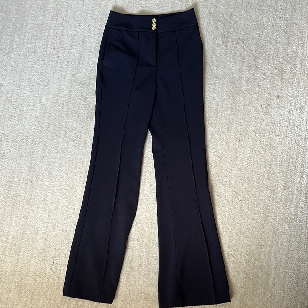 Express Dress Pants